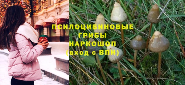 гидропоника Красноперекопск