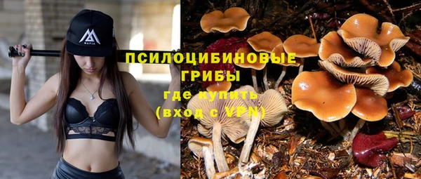 меф Алзамай
