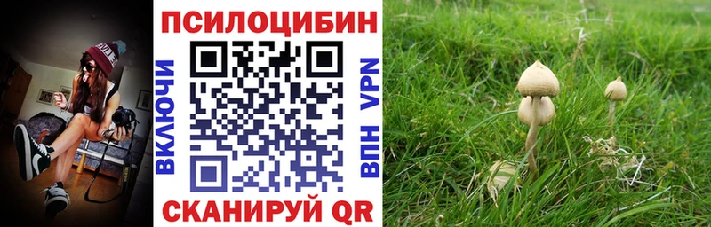 Галлюциногенные грибы GOLDEN TEACHER  МЕГА ССЫЛКА  Заполярный  закладка 