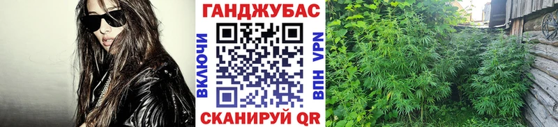 Бошки марихуана гибрид  Заполярный 